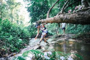 BIB: 
                            <button type="button" onclick="openModal(25436720)" class="btn btn-primary btn-sm float-right btn-popup" data-toggle="modal" data-target=".modal-high-quality">
                        <i class="fas fa-shopping-cart"></i> Add to Cart
                    </button>
                                            <button type="button" onclick="isThisMe(25436720, true)" class="btn btn-success btn-sm float-right btn-popup btn-isme hidden" data-toggle="tooltip" data-placement="bottom" title="นี่คือรูปของคุณใช่ไหม คลิกที่นี่เพื่อเอาเข้าอัลบั้ม">
                        <i class="fas fa-plus"></i> Add to album
                    </button>
                    <button type="button" onclick="isThisMe(25436720, false)" class="btn btn-warning btn-sm float-right btn-popup btn-isnotme hidden">
                        <i class="fas fa-ban"></i> Remove from album
                    </button>